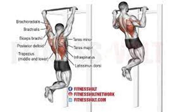 Pull Up Exercise